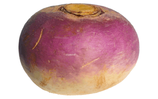 Rutabaga PNG