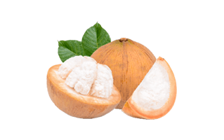 Santol Fruit PNG
