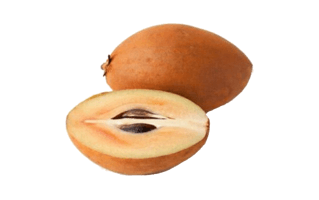 Sapodilla PNG