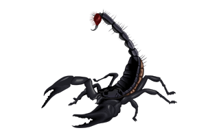 Scorpion PNG