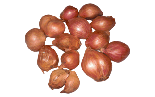 Shallot PNG