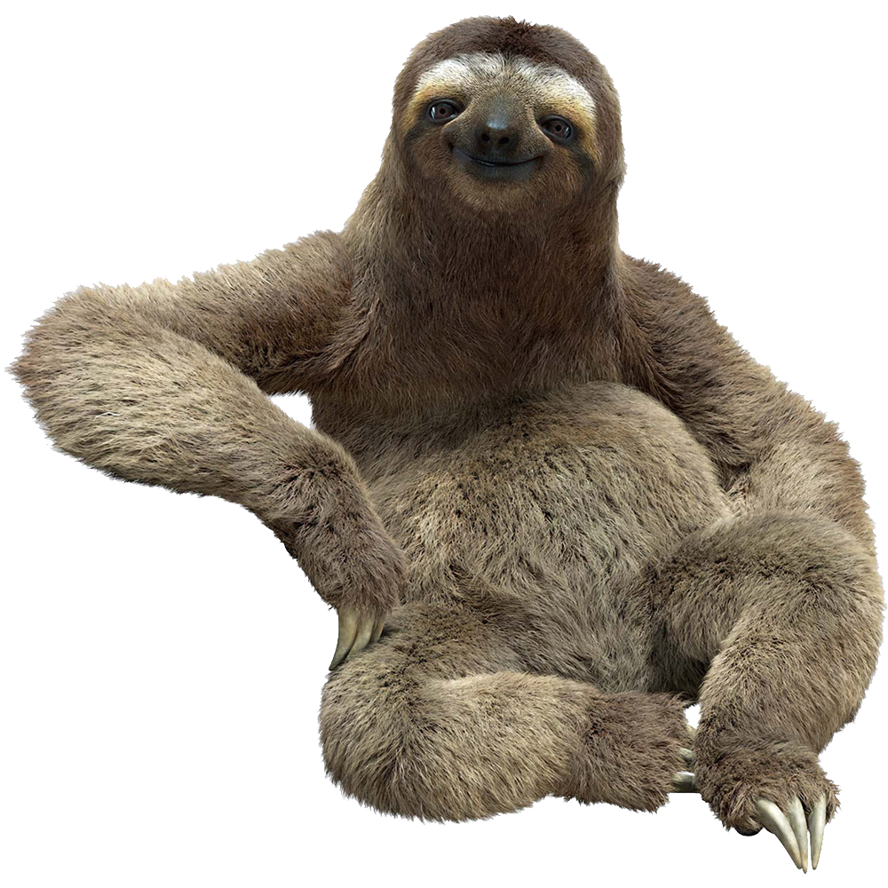 Sloth Transparent Image