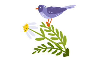Sparrow Free Sticker PNG
