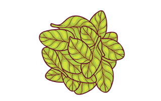 Spinach Sticker PNG