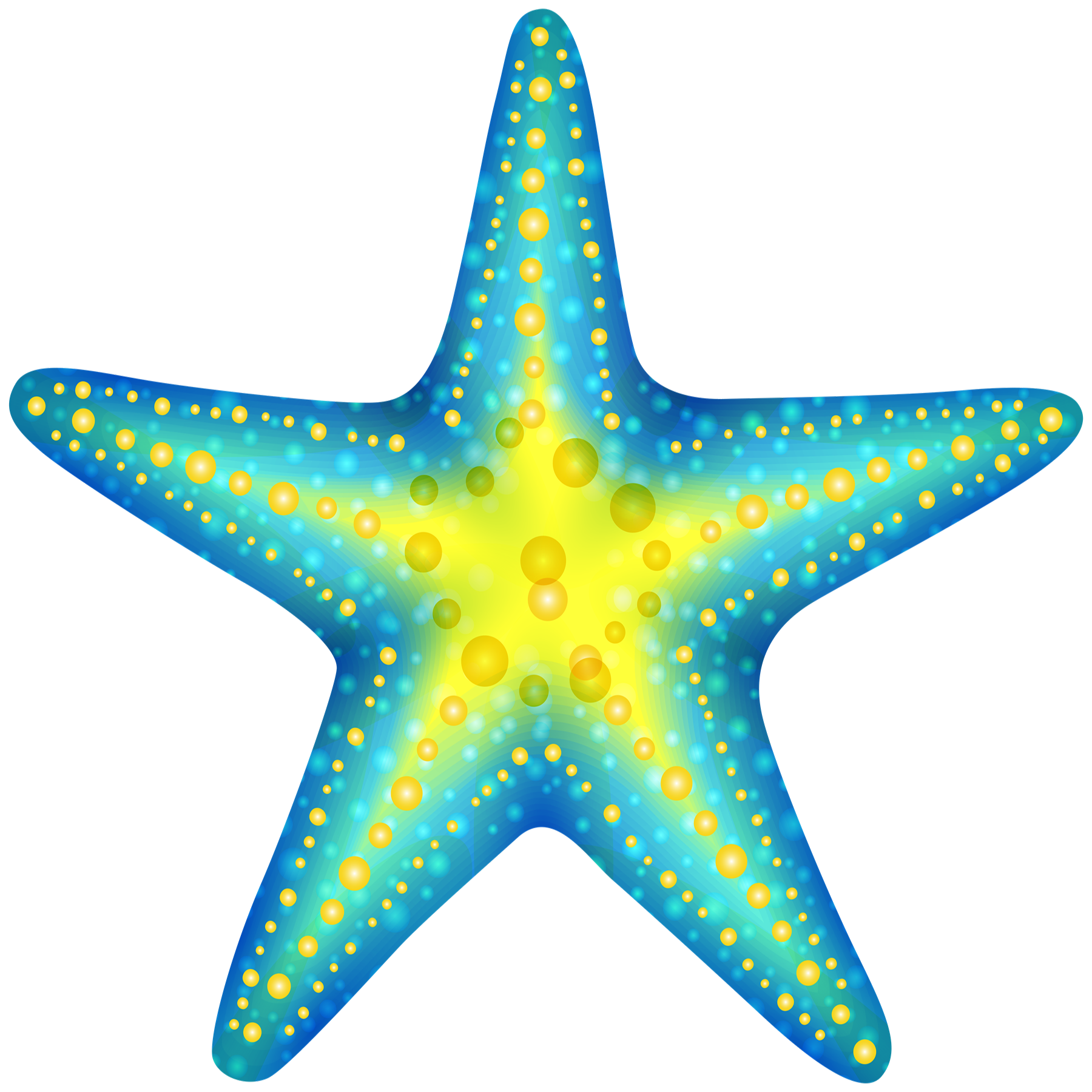 Star Fish Transparent Image