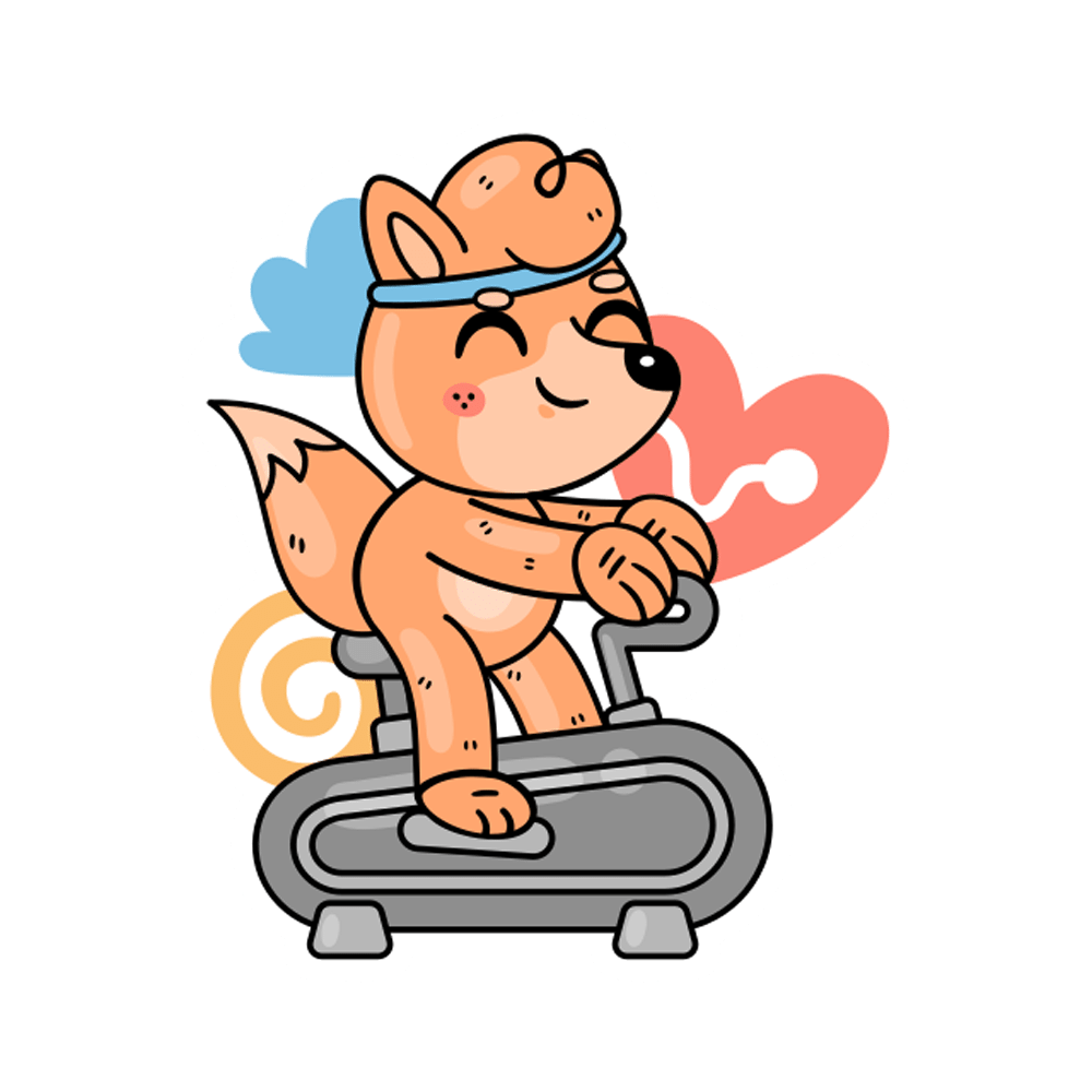 Stationary Bike Free Sticker Transparent Photo