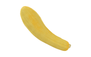 Summer Squash PNG