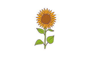 Sunflower Free Sticker PNG