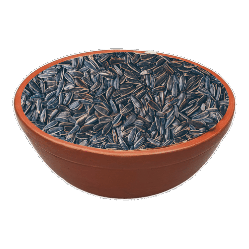 Sunflower Seeds Transparent Clipart