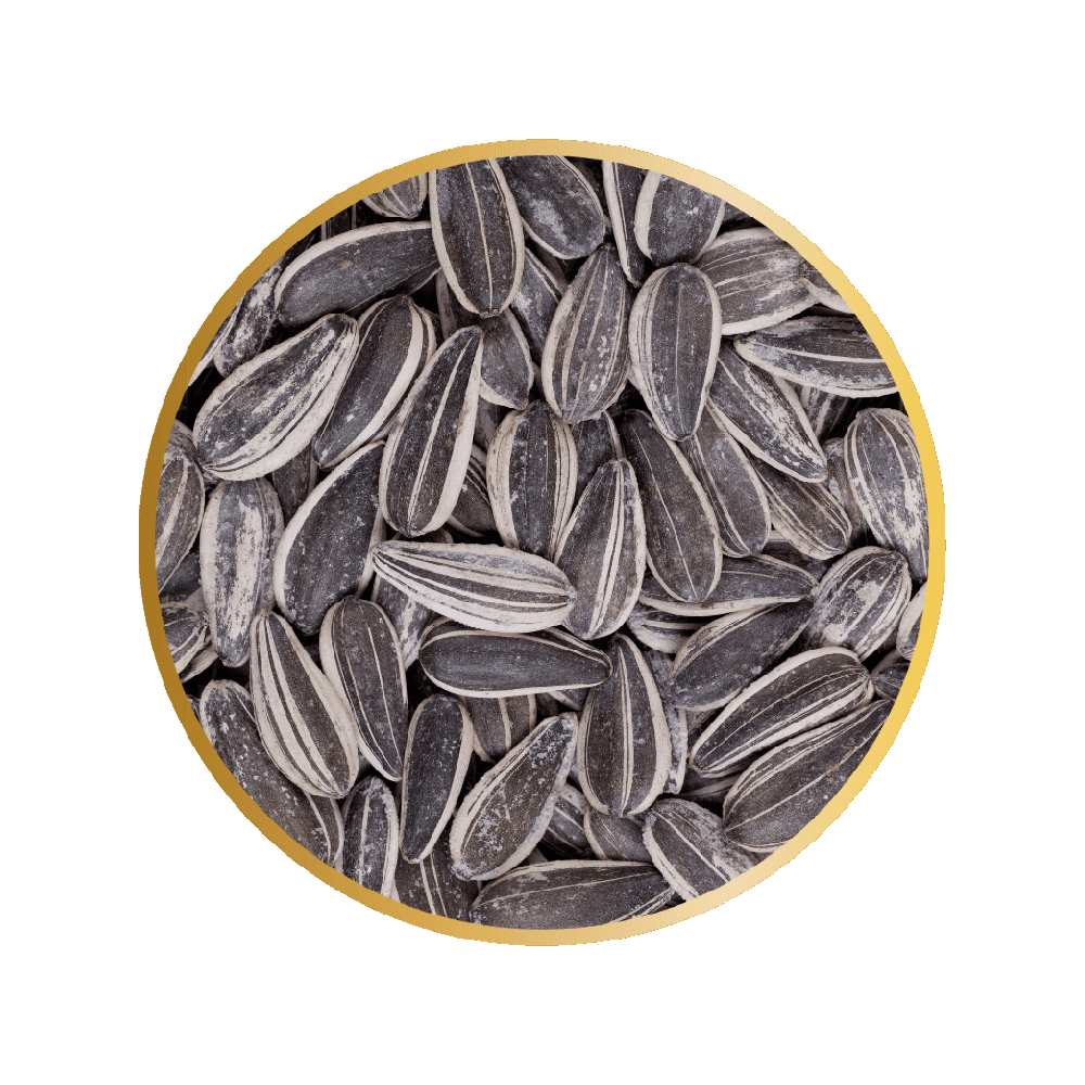 Sunflower Seeds Transparent Gallery