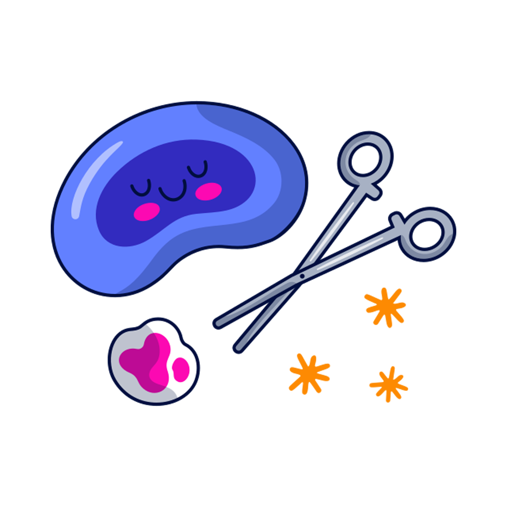 Surgery Tools Free Sticker Transparent Clipart