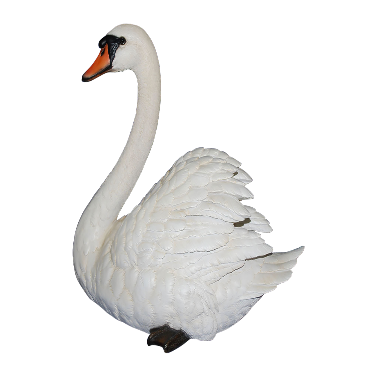 Swan Transparent Photo