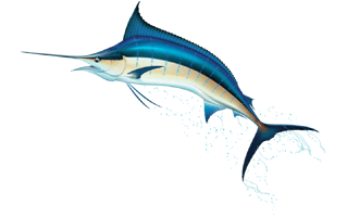 Swordfish PNG