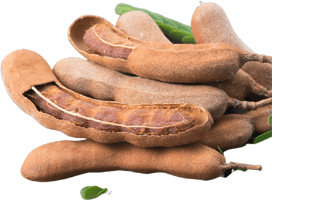 Tamarind PNG