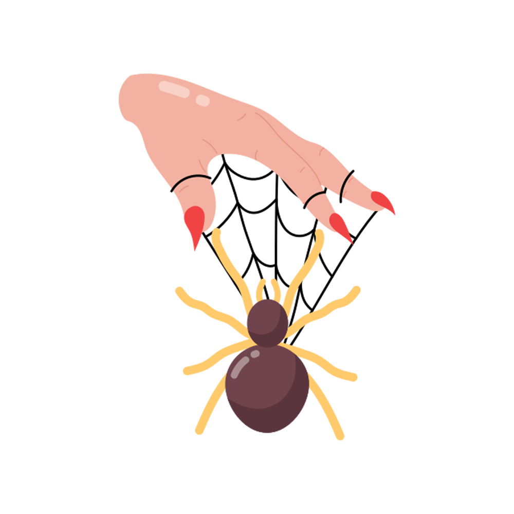 Tarantula Free Sticker Transparent Image