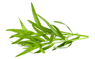 Tarragon PNG