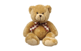 Teddy Bear PNG