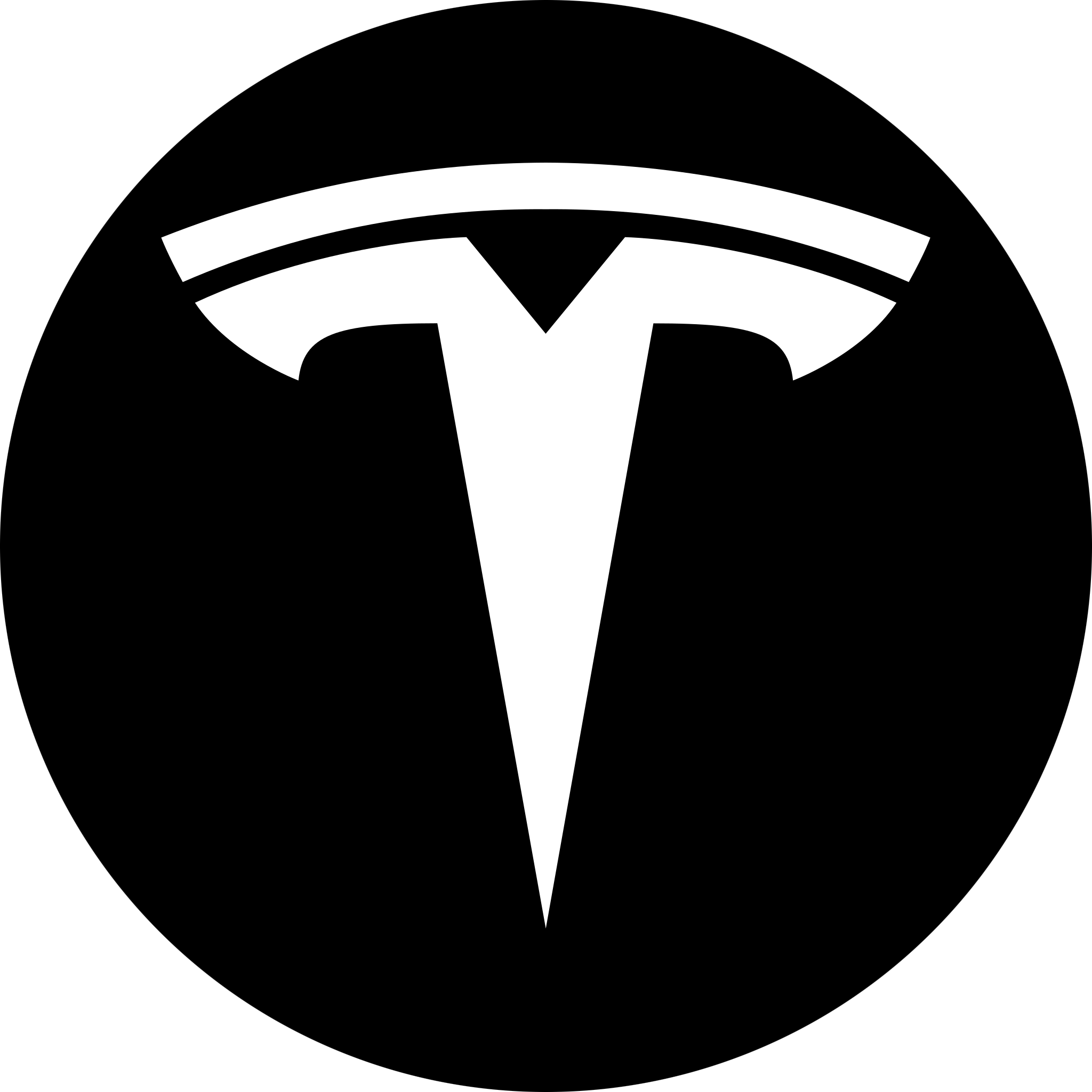 Tesla Round Transparent Clipart