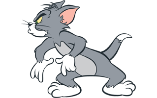Tom PNG