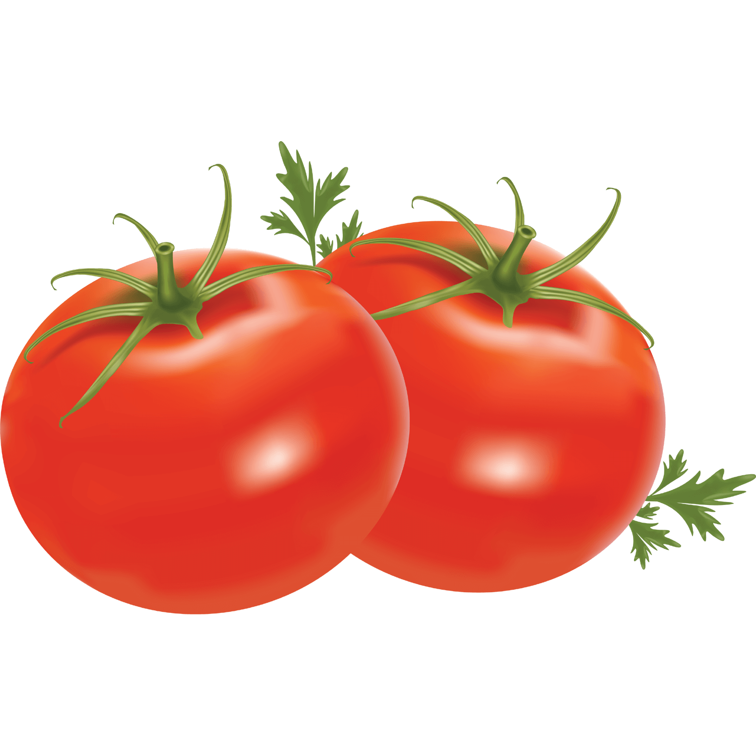 Tomatos Transparent Photo
