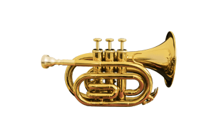 Trumpet PNG