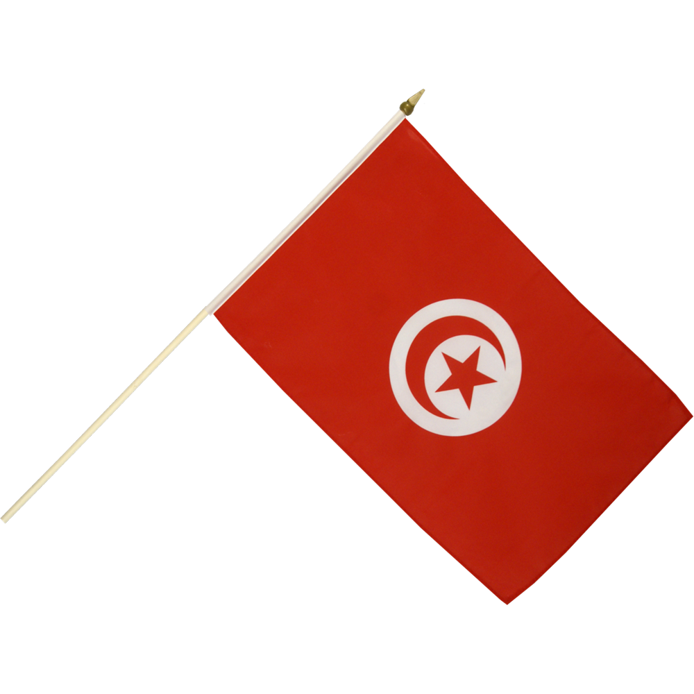 Tunisia Flag Transparent Photo