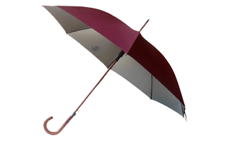 Umbrella PNG