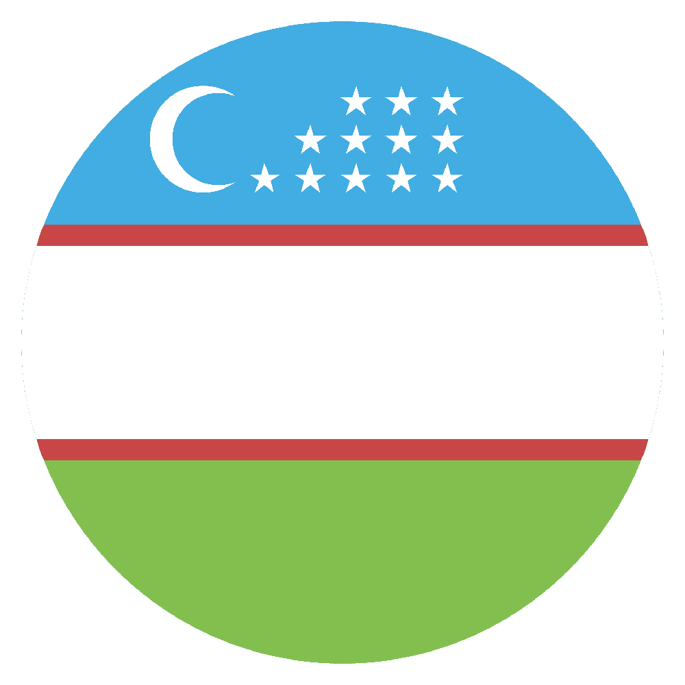 Uzbekistan Flag Transparent Photo