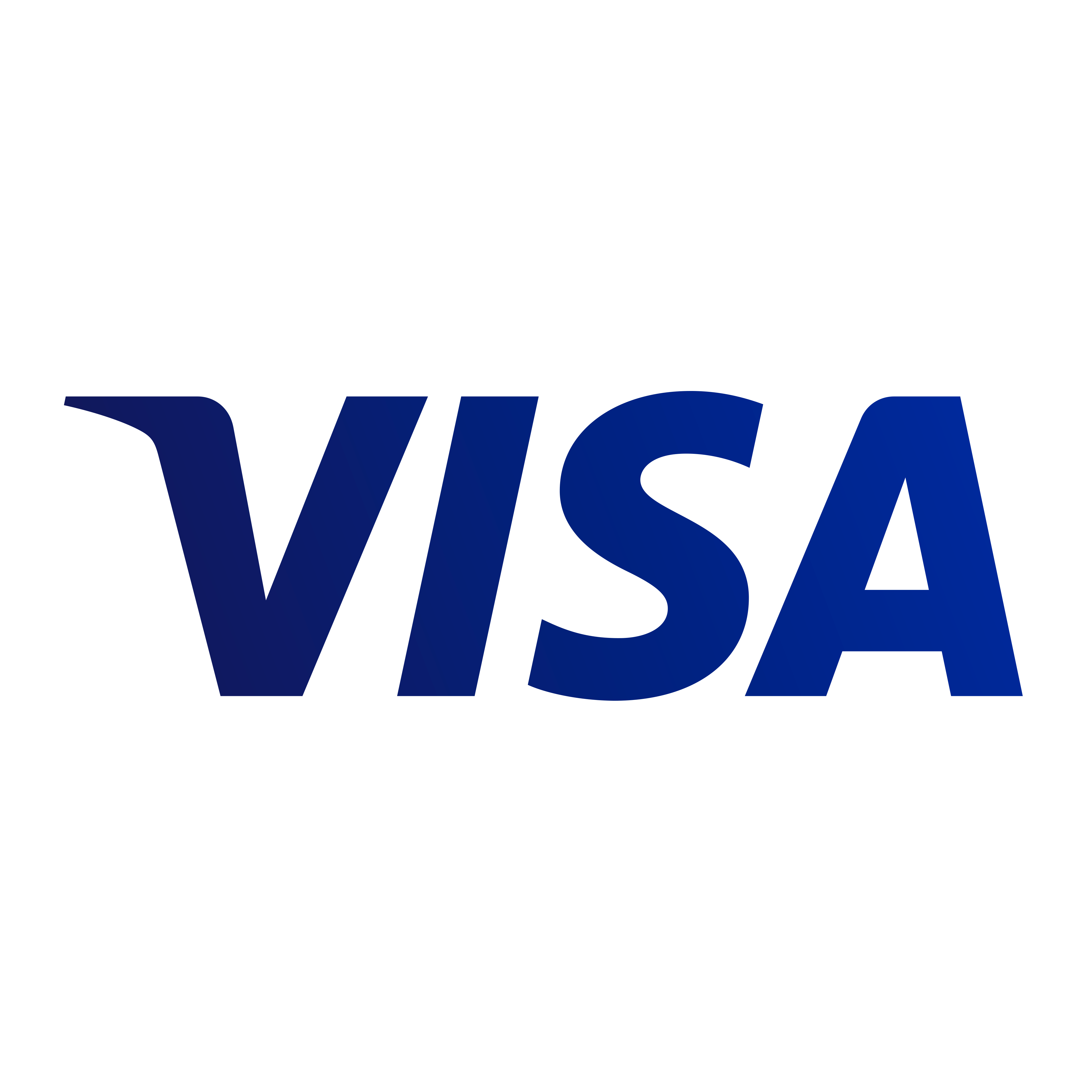 Visa Transparent Picture