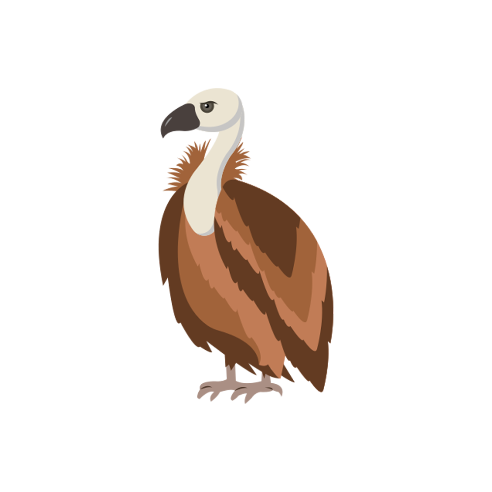 Vulture Free Sticker Transparent Clipart