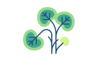 Watercress Free Sticker PNG