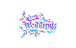 Wedding Day Sticker PNG