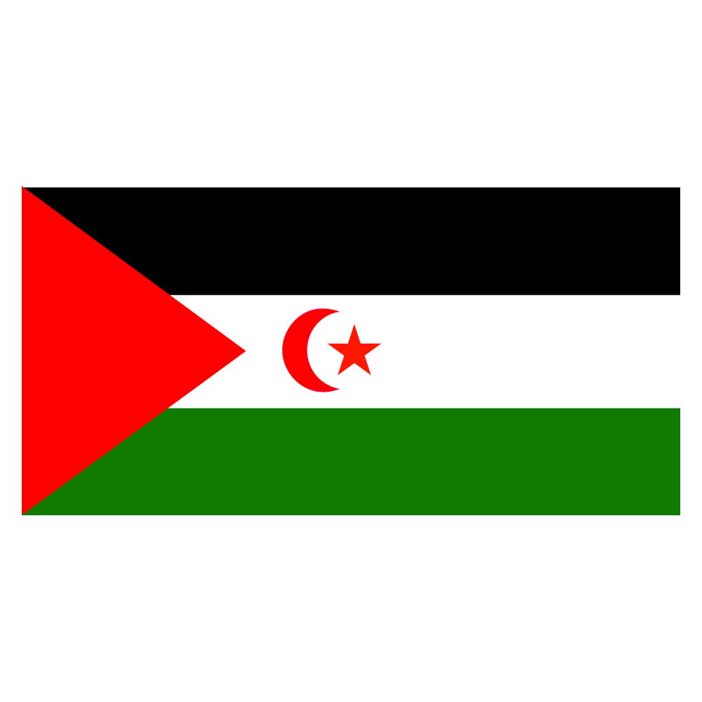 Western Sahara Flag Transparent Photo