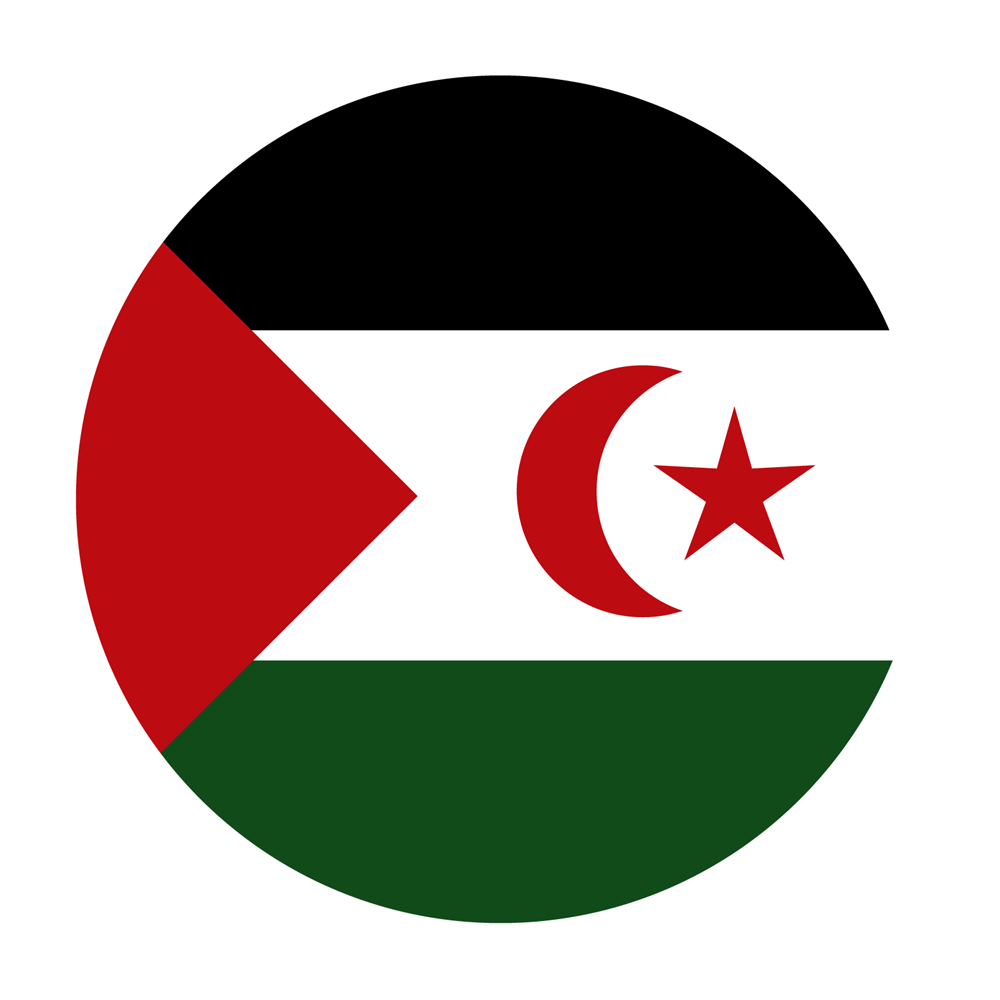 Western Sahara Flag Transparent Picture