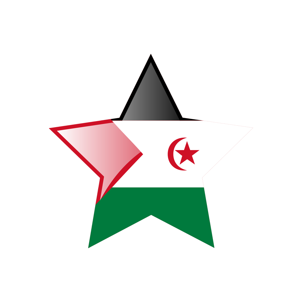 Western Sahara Flag Transparent Clipart