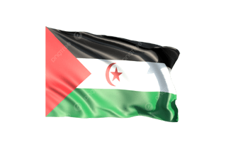 Western Sahara Flag PNG