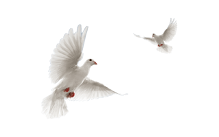 Teapot Sticker PNG