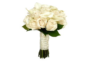 White Rose Bokeh PNG