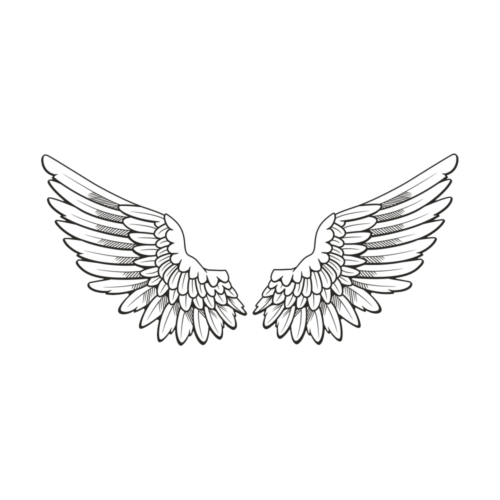 Wings Transparent Photo