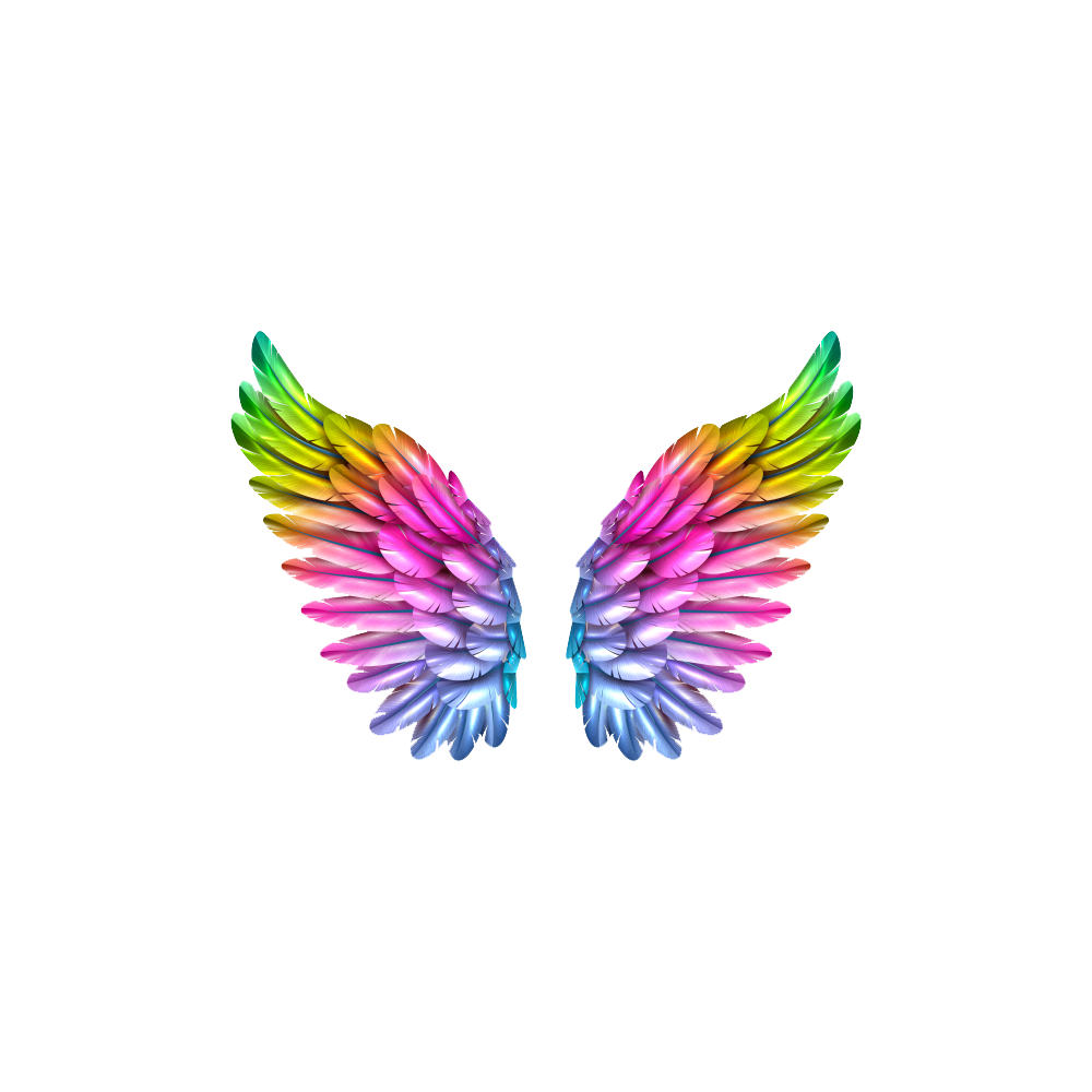Wings Transparent Clipart