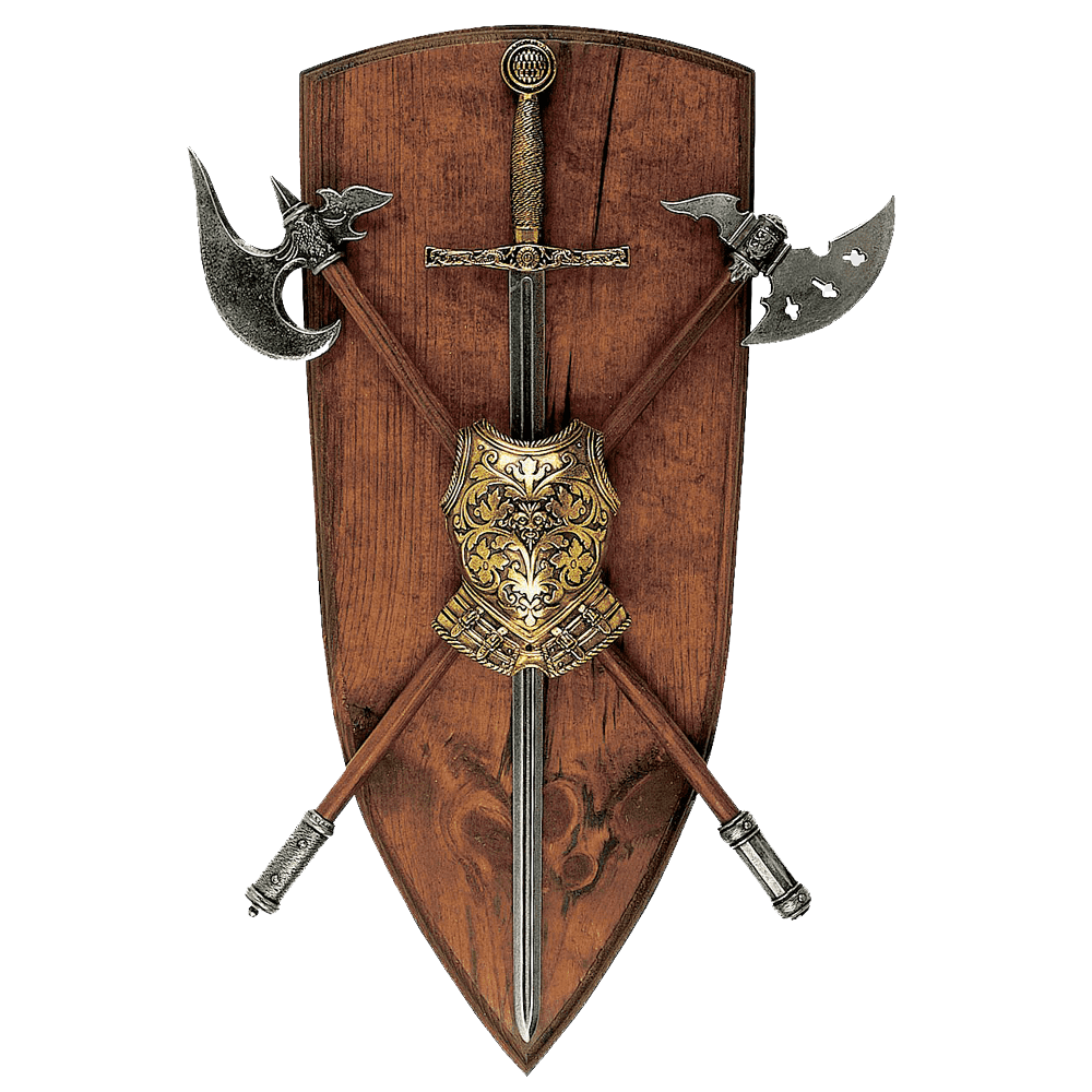 Средневековый щит. Рыцарский щит. Щит средневекового рыцаря. Средневековый Рыцарский щит.