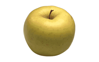 Yellow Apple